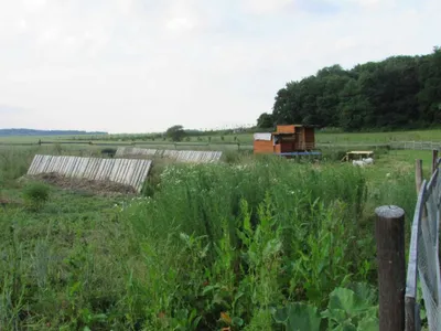 Grundstück mieten in Sankt Pölten Land – 20 000 m² – Bild 36 von 67