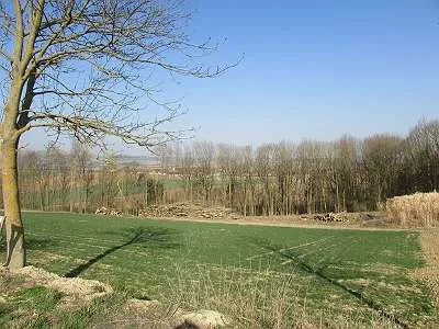 Grundstück mieten in Sankt Pölten Land – 20 000 m² – Bild 42 von 67