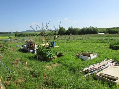 Grundstück mieten in Sankt Pölten Land – 20 000 m² – Bild 52 von 67