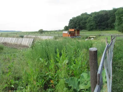 Grundstück mieten in Sankt Pölten Land – 20 000 m² – Bild 35 von 67