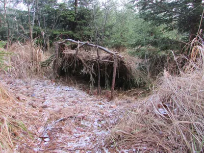 Grundstück mieten in Sankt Pölten Land – 20 000 m² – Bild 49 von 67
