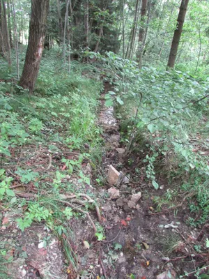 Grundstück mieten in Sankt Pölten Land – 20 000 m² – Bild 46 von 67