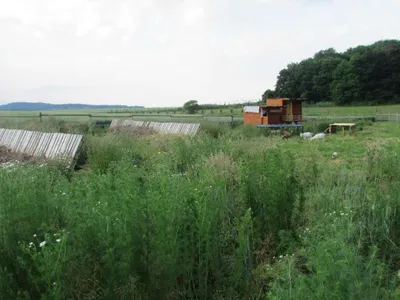 Grundstück mieten in Sankt Pölten Land – 20 000 m² – Bild 34 von 67