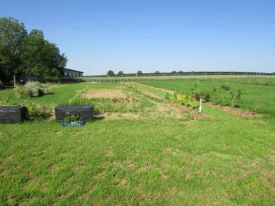 Grundstück mieten in Sankt Pölten Land – 20 000 m² – Bild 7 von 67