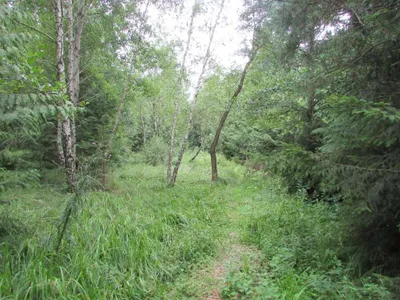 Grundstück mieten in Sankt Pölten Land – 20 000 m² – Bild 22 von 67