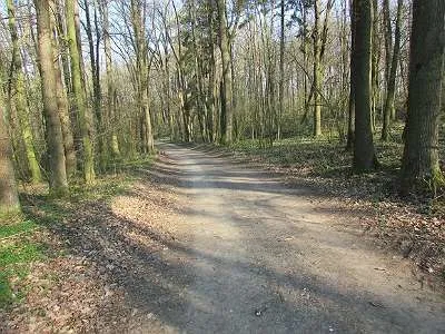 Grundstück mieten in Sankt Pölten Land – 20 000 m² – Bild 45 von 67