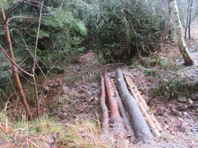 Grundstück mieten in Sankt Pölten Land – 20 000 m² – Bild 19 von 67