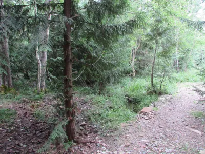Grundstück mieten in Sankt Pölten Land – 20 000 m² – Bild 20 von 67