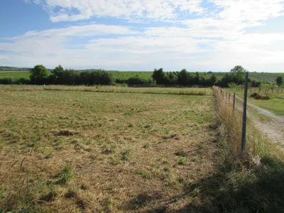 Grundstück mieten in Sankt Pölten Land – 20 000 m² – Bild 6 von 67