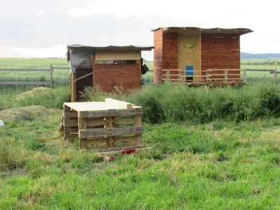Grundstück mieten in Sankt Pölten Land – 20 000 m² – Bild 39 von 67