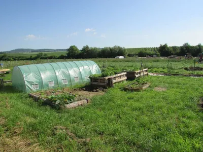 Grundstück mieten in Sankt Pölten Land – 20 000 m² – Bild 51 von 67