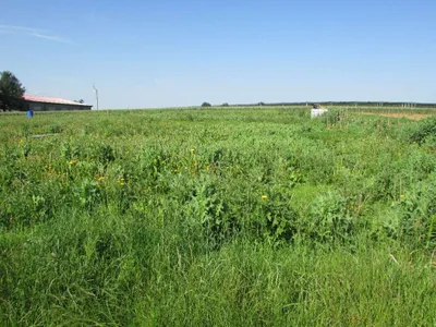 Grundstück mieten in Sankt Pölten Land – 20 000 m² – Bild 60 von 67
