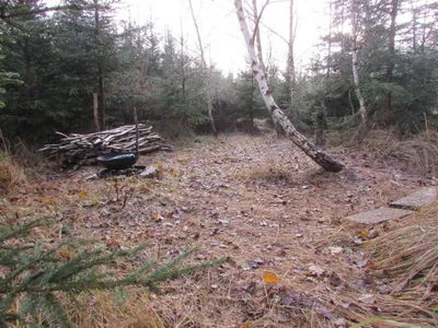 Grundstück mieten in Sankt Pölten Land – 20 000 m² – Bild 3 von 67
