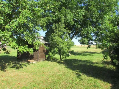 Grundstück mieten in Sankt Pölten Land – 20 000 m² – Bild 62 von 67
