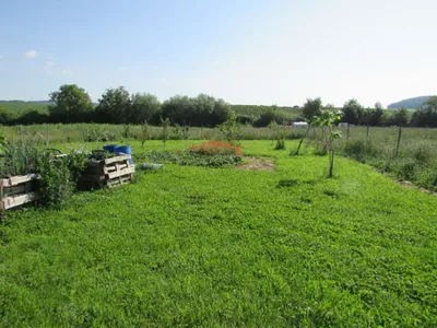 Grundstück mieten in Sankt Pölten Land – 20 000 m² – Bild 54 von 67