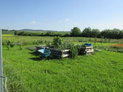 Grundstück mieten in Sankt Pölten Land – 20 000 m² – Bild 53 von 67