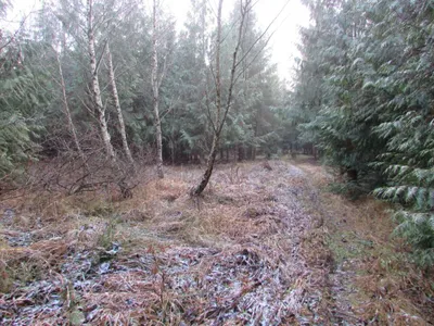Grundstück mieten in Sankt Pölten Land – 20 000 m² – Bild 64 von 67