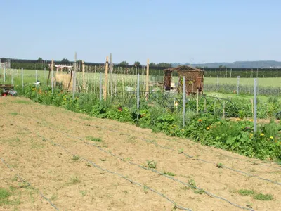 Grundstück mieten in Sankt Pölten Land – 20 000 m² – Bild 56 von 67