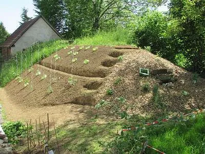 Grundstück mieten in Sankt Pölten Land – 20 000 m² – Bild 44 von 67