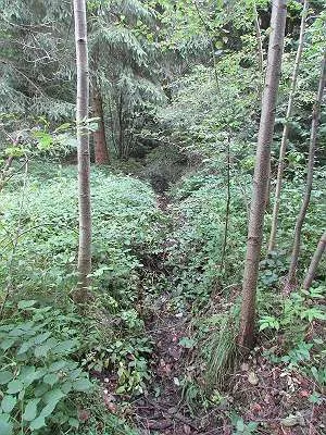 Grundstück mieten in Sankt Pölten Land – 20 000 m² – Bild 18 von 67