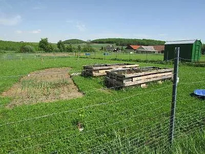 Grundstück mieten in Sankt Pölten Land – 20 000 m² – Bild 43 von 67