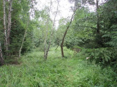 Grundstück mieten in Sankt Pölten Land – 20 000 m² – Bild 13 von 67