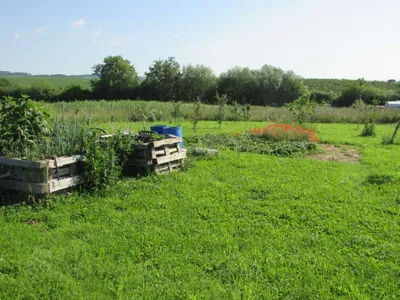 Grundstück mieten in Sankt Pölten Land – 20 000 m² – Bild 55 von 67