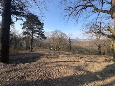 Grundstück kaufen in Tulln – 843 m², € 980.000 – Bild 6 von 10