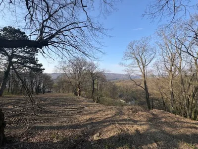 Grundstück kaufen in Tulln – 843 m², € 980.000 – Bild 1 von 10
