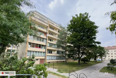3-Zimmer-Wohnung mieten in Wien – 78 m², € 1.404 – Bild 26 von 26