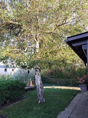 Wohnung kaufen in Eisenstadt - Umgebung – 39 m², € 30.000 – Bild 3 von 15