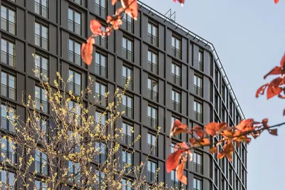 2-Zimmer-Dachgeschoßwohnung mit großer Terrasse - Erstbezug - zu mieten in 1220 Wien / DC Flats