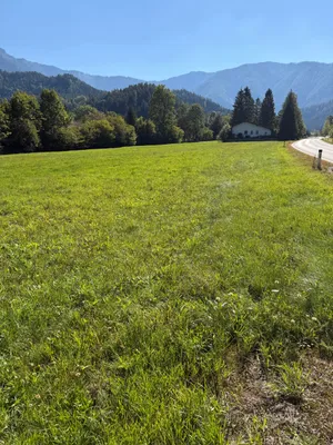 Grundstück kaufen in Lilienfeld – 12 037 m², € 36.111 – Bild 3 von 4