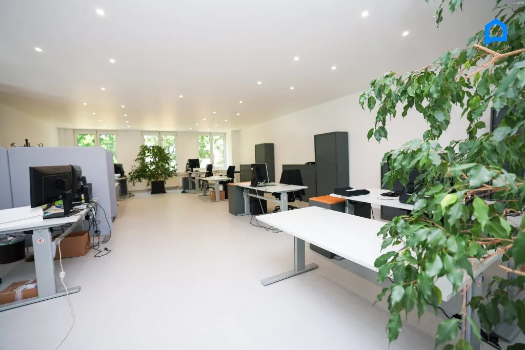 +Modernes Büro 545m² (oder auf 2x270m² teilbar) , 15-20 Räume insgesamt möglich, Teeküche, Toiletten, optionale PKW Stellplätze, optionaler Keller+ – pohled 3