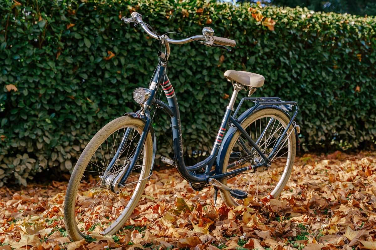 heldenmut fahrradschloss Premium Radschloss main image 0