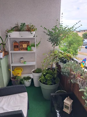 3-Zimmer-Wohnung mieten in Neusiedl am See – 75 m², € 932 – Bild 3 von 6