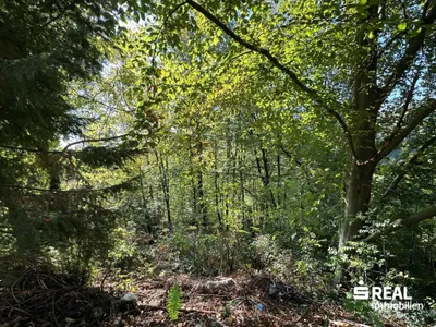 Haus kaufen in Linz – 4 094 m², € 1.390.000 – Bild 8 von 15