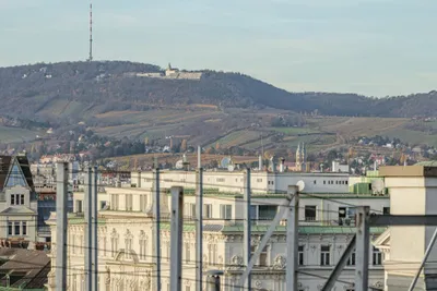 6-Zimmer-Gewerbeimmobilie mieten in Wien – 556 m², € 13.223 – Bild 13 von 21