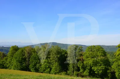 Grundstück kaufen in Urfahr-Umgebung – 3 032 m², € 1.590.000 – Bild 7 von 8