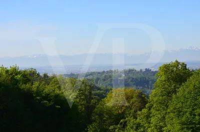 Grundstück kaufen in Urfahr-Umgebung – 3 032 m², € 1.590.000 – Bild 8 von 8