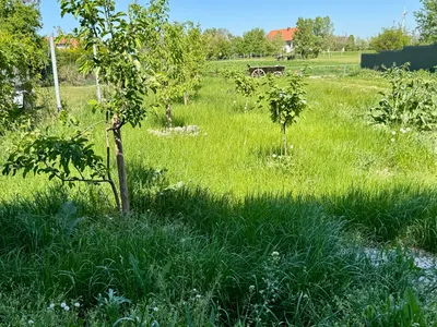 4-Zimmer-Haus kaufen in Bruck an der Leitha – 154 m², € 679.000 – Bild 14 von 16