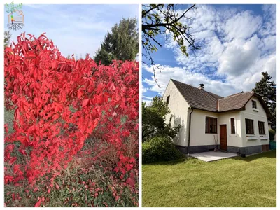 2-Zimmer-Haus kaufen in Horn – 80 m², € 115.000 – Bild 1 von 27