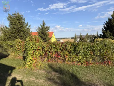 2-Zimmer-Haus kaufen in Horn – 80 m², € 115.000 – Bild 23 von 27