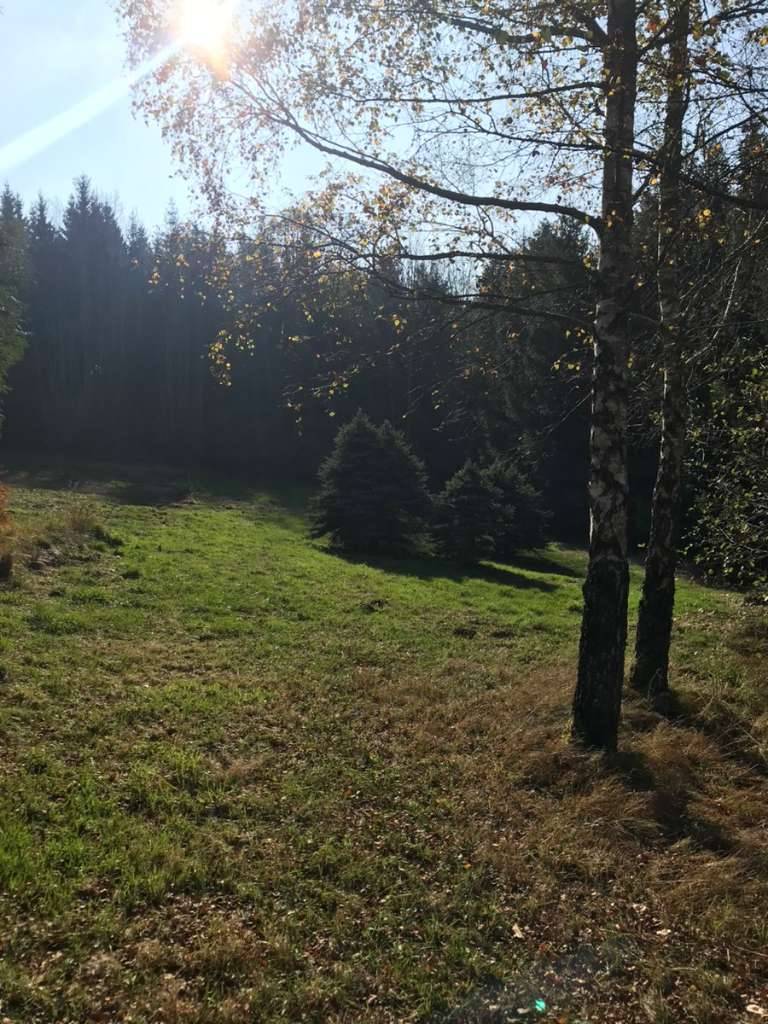 Idyllisches Grundstück mit Wald, Wiese, Teich, Bach und Geräteschuppen - Ansicht 3