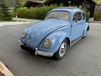 VW Käfer
