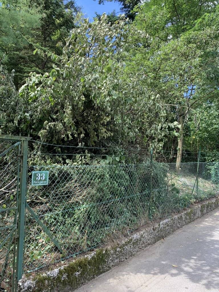 Großzügiges 1115m² Grundstück mit Garten in 2123 Kronberg, Niederösterreich! - Ansicht 2