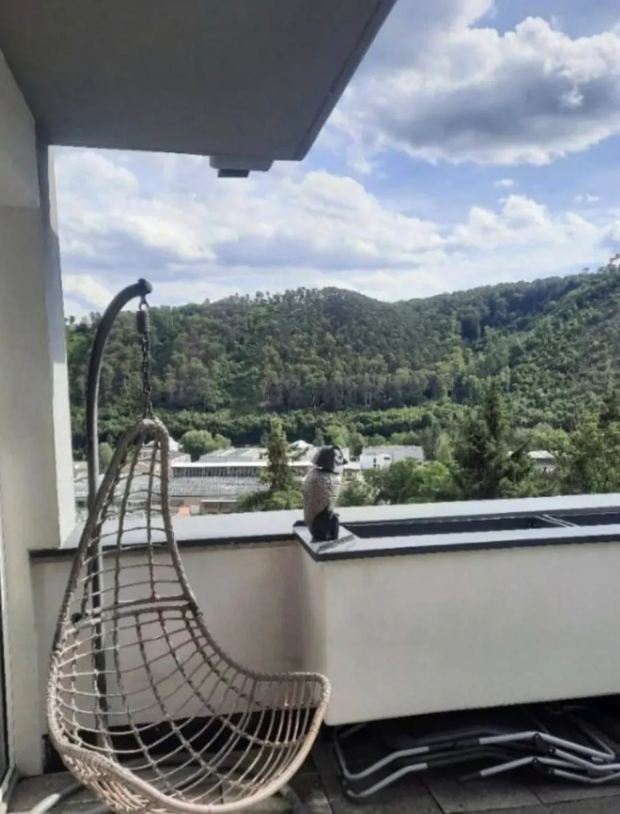 Helle 2-Zimmer Wohnung mit Terrasse in Grünruhelage - Nachmieter gesucht – pohled 3