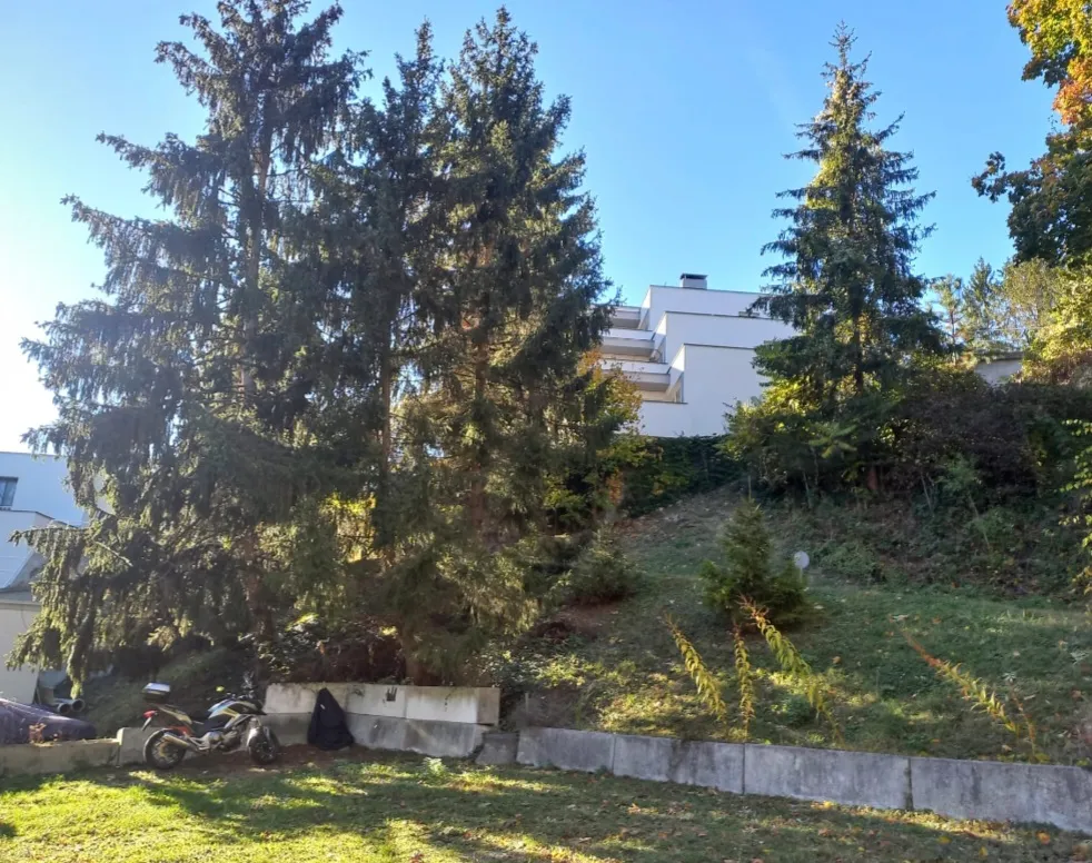 Helle 2-Zimmer Wohnung mit Terrasse in Grünruhelage - Nachmieter gesucht – pohled 2