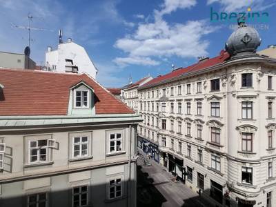 Loftartiges Wohnen zwischen Volkstheater und MuseumsQuartier - Ideal für Singles, Kreative, Homeoffice-Nutzer oder Paare