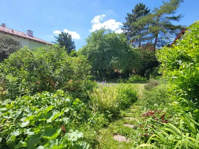 9-Zimmer-Haus kaufen in Wiener Neustadt – 268 m², € 825.000 – Bild 19 von 22